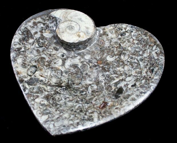Heart Shaped Fossil Goniatite Dish #8881